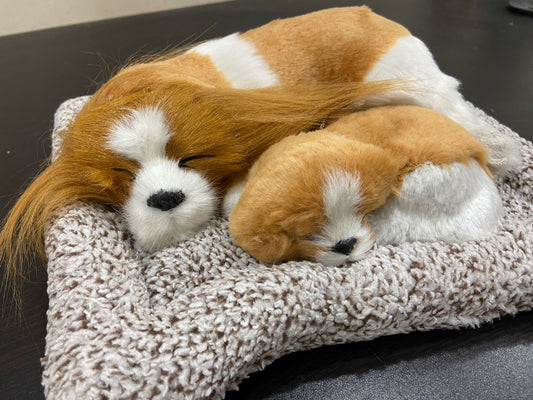 Ride2joy Sleeping Cute Black Dog with Puppy for Car Dashboard and Home Car Dashboard Cover (Universal For Car Universal For Car)