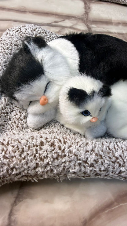 CarOxygen Sleeping Cat Plush Toy Car Interior Dashboard Decorative/Soft Accessories Figurines Showpiece for Car Dashboard