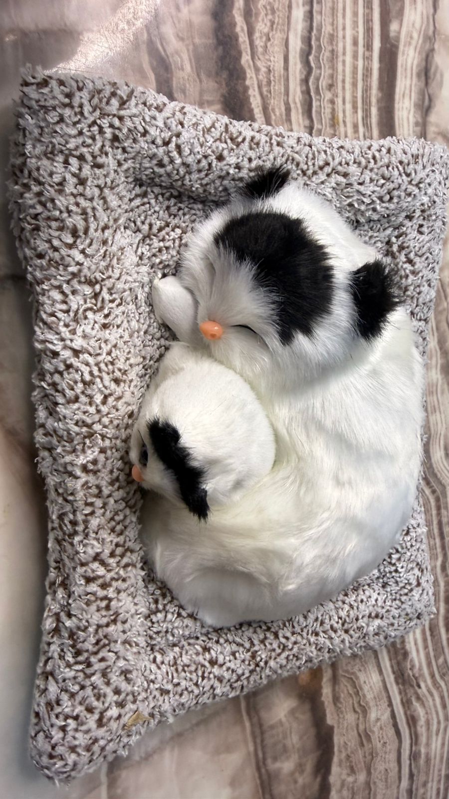 CarOxygen Sleeping Cat Plush Toy Car Interior Dashboard Decorative/Soft Accessories Figurines Showpiece for Car Dashboard
