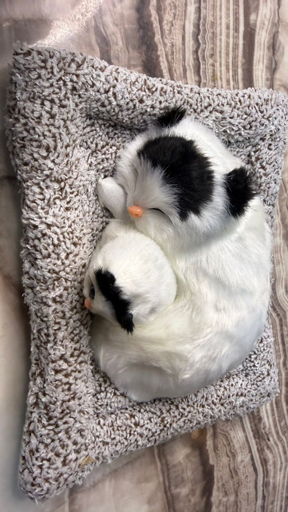 CarOxygen Sleeping Cat Plush Toy Car Interior Dashboard Decorative/Soft Accessories Figurines Showpiece for Car Dashboard