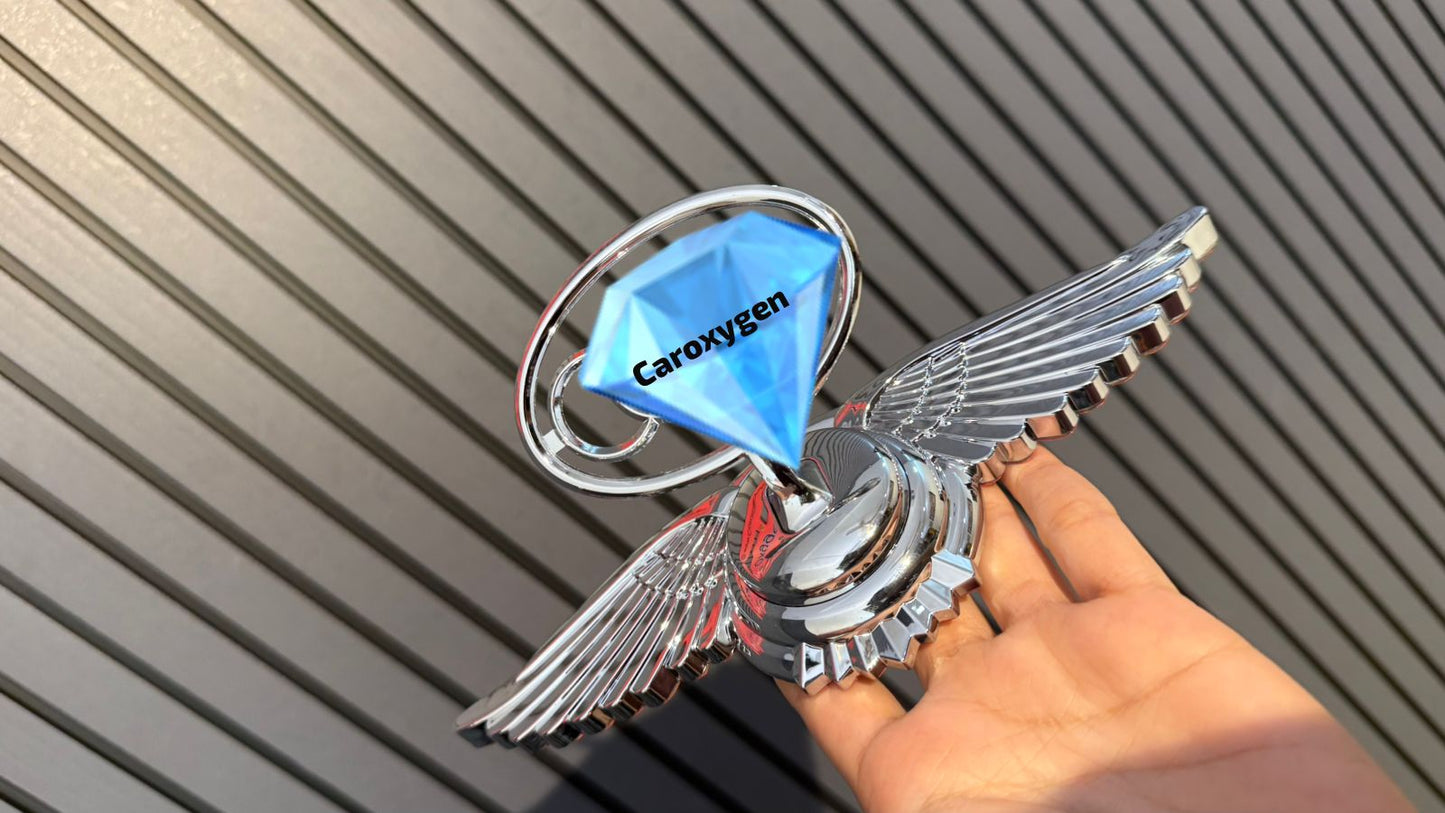 Car Front Hood Bonnet Emblem Ornament Wing Style Suit for All The Vehicles