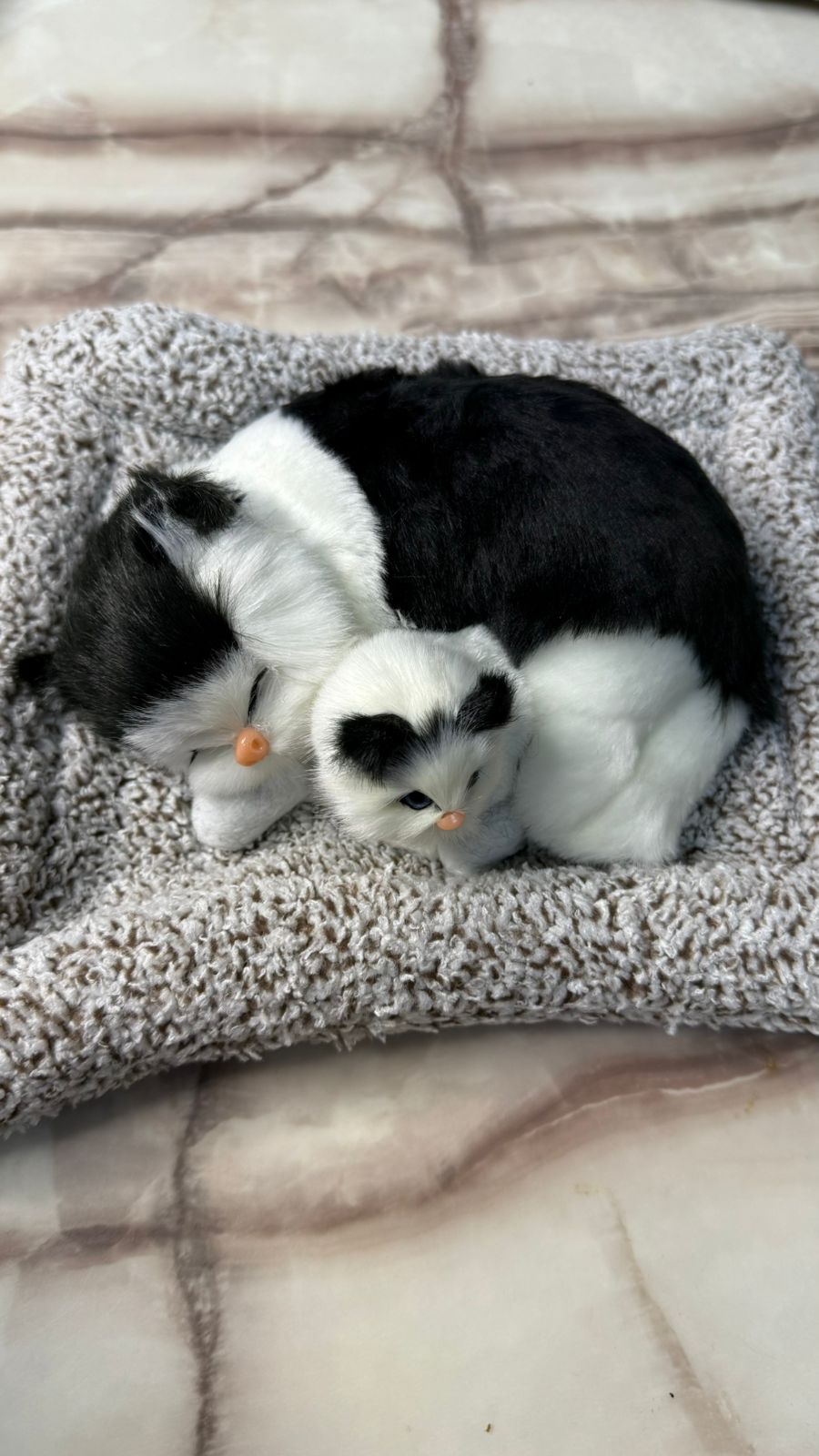 CarOxygen Sleeping Cat Plush Toy Car Interior Dashboard Decorative/Soft Accessories Figurines Showpiece for Car Dashboard