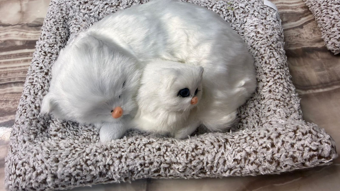 CarOxygen Sleeping Cat Plush Toy Car Interior Dashboard Decorative/Soft Accessories Figurines Showpiece for Car Dashboard