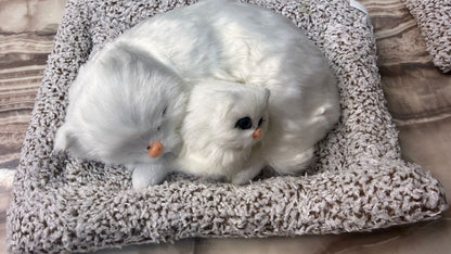 CarOxygen Sleeping Cat Plush Toy Car Interior Dashboard Decorative/Soft Accessories Figurines Showpiece for Car Dashboard