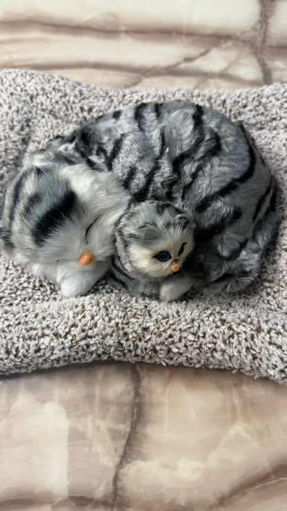 CarOxygen Sleeping Cat Plush Toy Car Interior Dashboard Decorative/Soft Accessories Figurines Showpiece for Car Dashboard