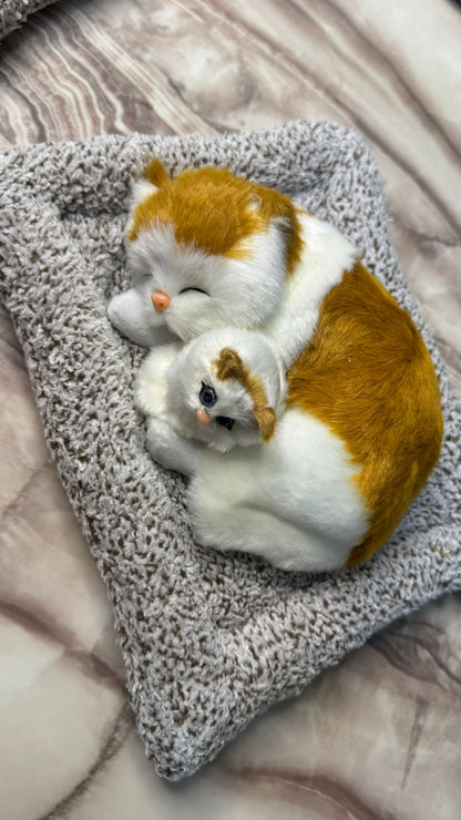 CarOxygen Sleeping Cat Plush Toy Car Interior Dashboard Decorative/Soft Accessories Figurines Showpiece for Car Dashboard