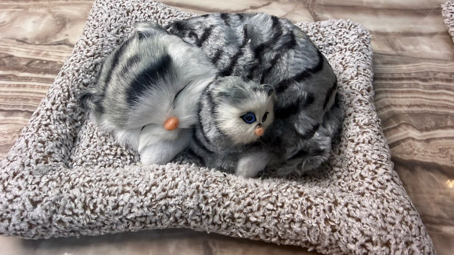CarOxygen Sleeping Cat Plush Toy Car Interior Dashboard Decorative/Soft Accessories Figurines Showpiece for Car Dashboard