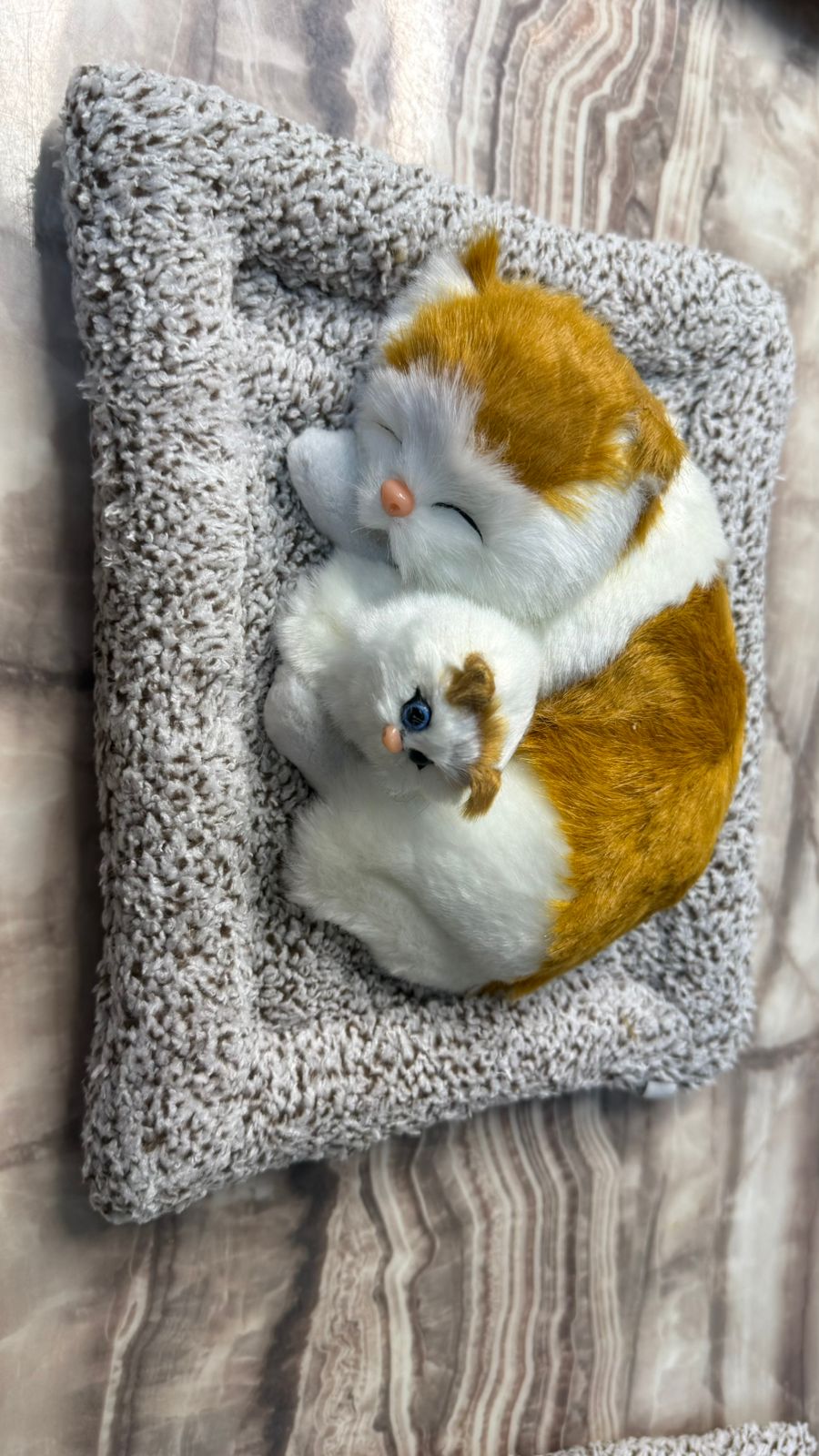 CarOxygen Sleeping Cat Plush Toy Car Interior Dashboard Decorative/Soft Accessories Figurines Showpiece for Car Dashboard