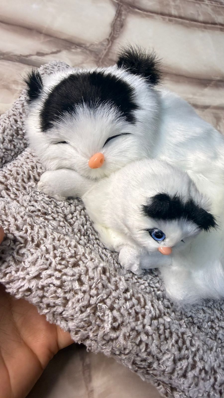 CarOxygen Sleeping Cat Plush Toy Car Interior Dashboard Decorative/Soft Accessories Figurines Showpiece for Car Dashboard