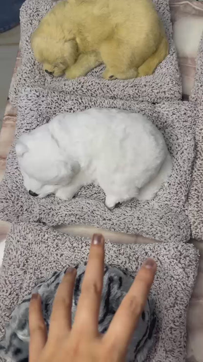 CarOxygen Sleeping Cat Plush Toy Car Interior Dashboard Decorative/Soft Accessories Figurines Showpiece for Car Dashboard